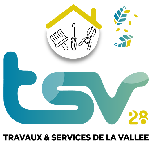Logo TSV 28