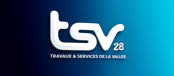 Logo TSV 28